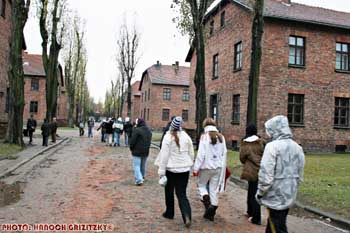IMG_ (11724)